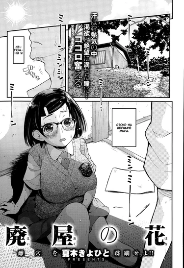 Haioku no Hana