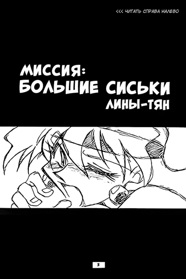 Slayers: Reflect (Рубаки: Отражение)