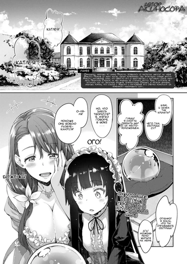 A Sister for Each Season - глава 2.5 (Season 2.5)