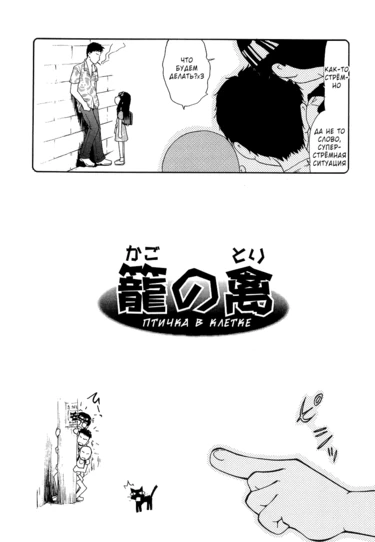 Petit Hen - часть 2 (Птичка в клетке)