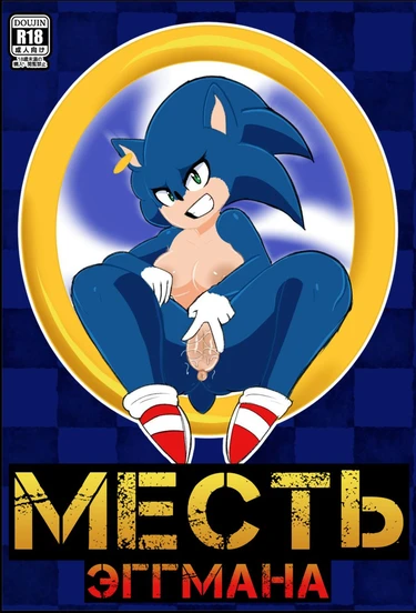 Eggman's Revenge (Месть Эггмана)