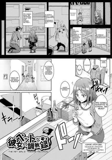 Pet na Kanojo no Choukyouroku (The Pet Girl's Training Records)