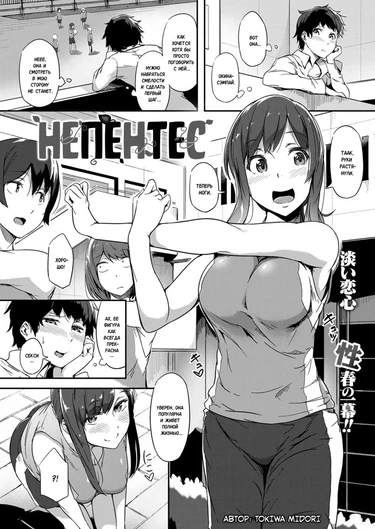 Nepenthes (Непентес)