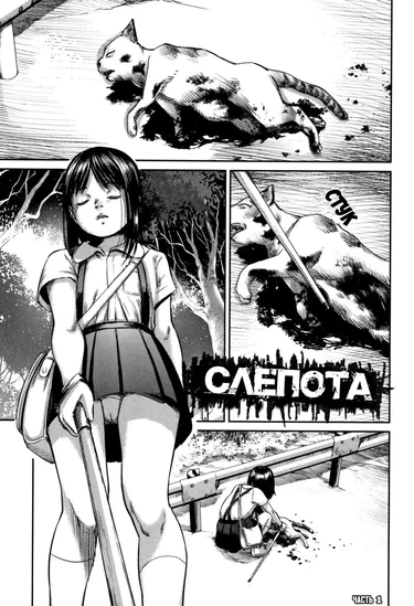 Слепота - часть 1 (BLINDNESS Zenpen)