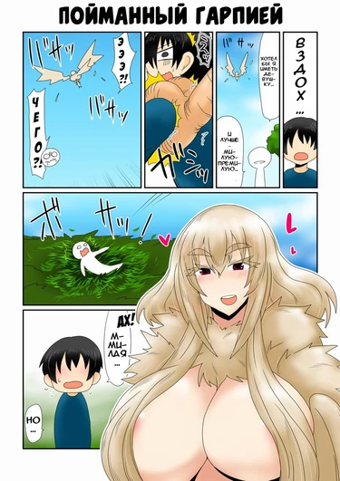 Пойманный гарпией. (Harpy-san ni Tsukamatte.)
