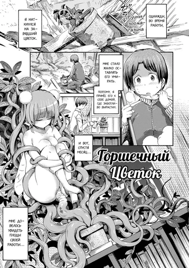 Горшечный цветок (Hachi no Ue no Flower | Potted Flower)