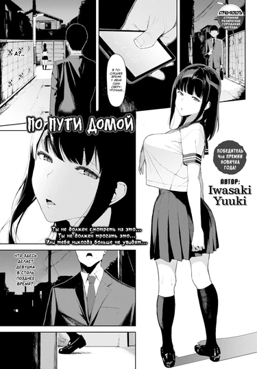 The way home (По пути домой)