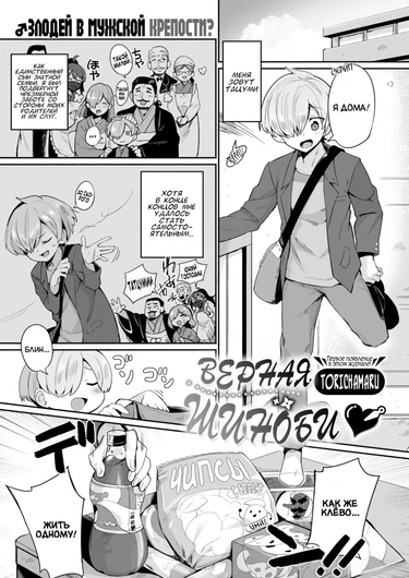 Верная шиноби (Shinobi, Tsukushite)
