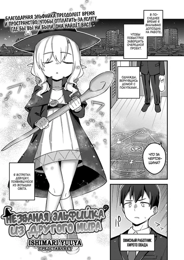 Незваная эльфийка из другого мира (The Stalker Elf From Another World)