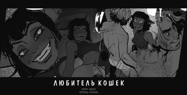 Любитель кошек