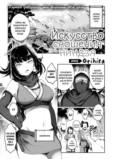 Искусство сношения ниндзя (Mating Ninja Arts)