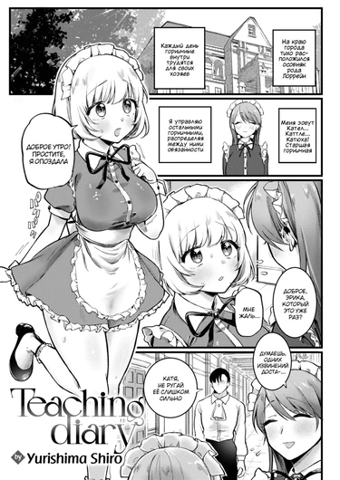 Дневник обучения (Teaching Diary)