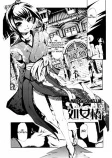 Otometsubaki (Maiden Camellia)
