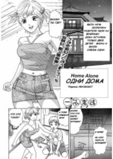 Home Alone (Одни дома)