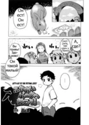 Let's Go to the Petting Zoo!