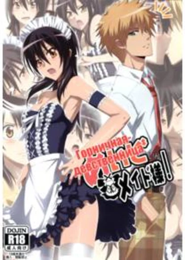 Meid in Maid-sama! (Горничная-девственница)