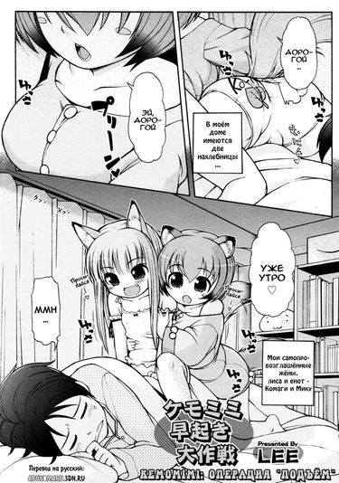 Kemomimi Hayaoki Daisakusen (Kemomimi: The Grand Early Wake-up Operation)
