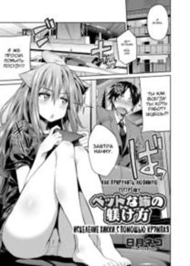 Pet na Ane no Shitsukekata (How To Train Your Pet Sister)